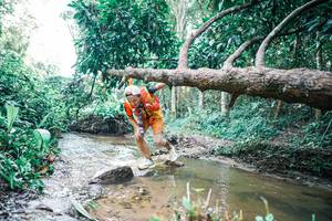 BIB: 
                            <button type="button" onclick="openModal(25376109)" class="btn btn-primary btn-sm float-right btn-popup" data-toggle="modal" data-target=".modal-high-quality">
                        <i class="fas fa-shopping-cart"></i> Add to Cart
                    </button>
                                            <button type="button" onclick="isThisMe(25376109, true)" class="btn btn-success btn-sm float-right btn-popup btn-isme hidden" data-toggle="tooltip" data-placement="bottom" title="นี่คือรูปของคุณใช่ไหม คลิกที่นี่เพื่อเอาเข้าอัลบั้ม">
                        <i class="fas fa-plus"></i> Add to album
                    </button>
                    <button type="button" onclick="isThisMe(25376109, false)" class="btn btn-warning btn-sm float-right btn-popup btn-isnotme hidden">
                        <i class="fas fa-ban"></i> Remove from album
                    </button>